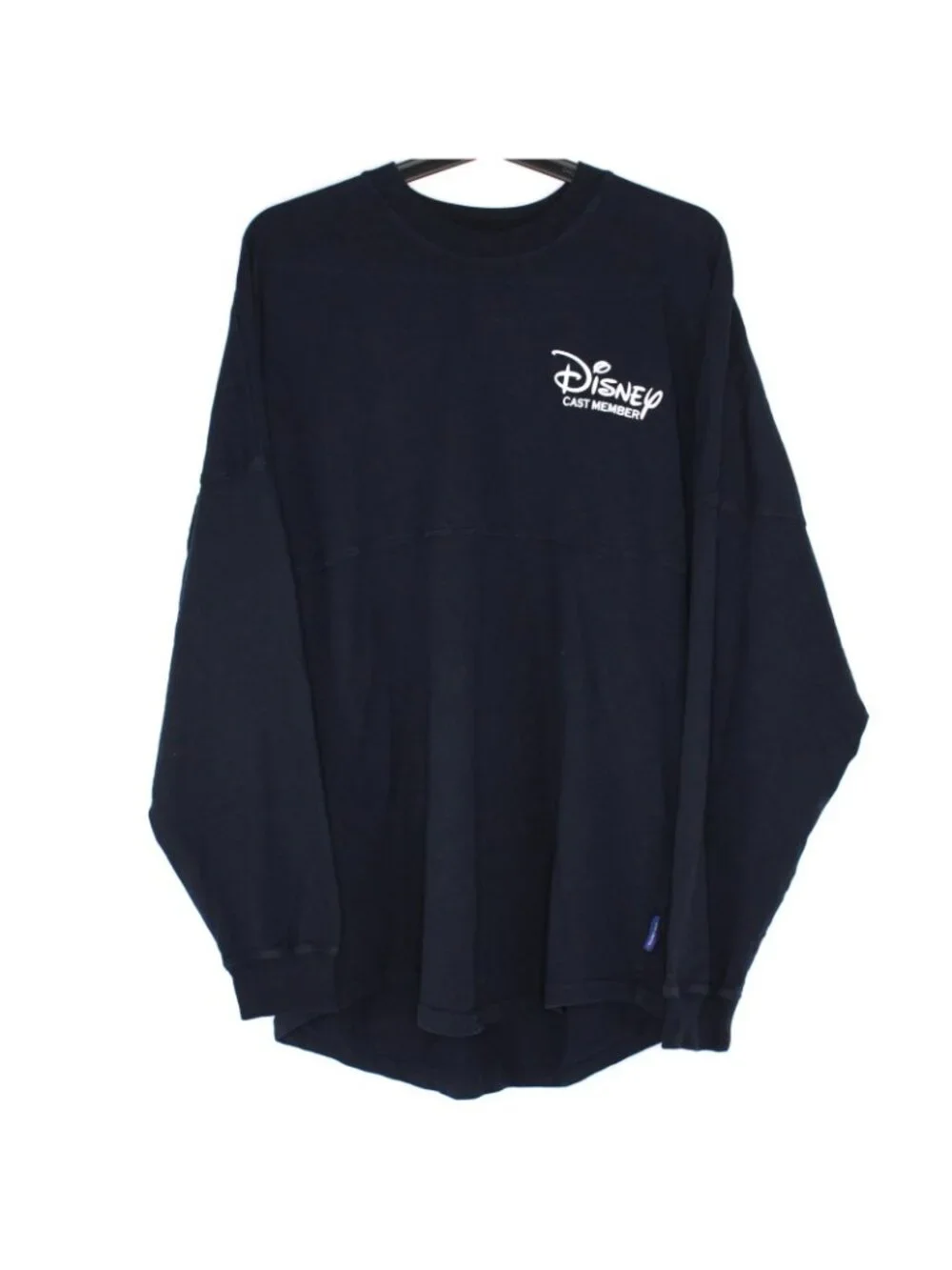 Disney parks spirit